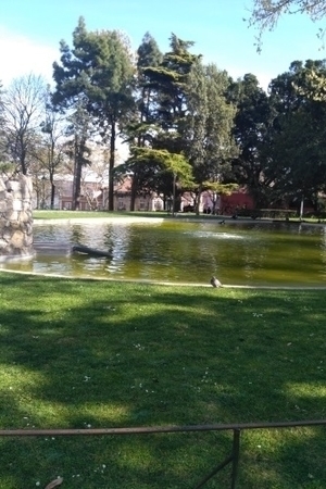 פארק בראנקאמפ פריירה - Jardim Braancamp Freire