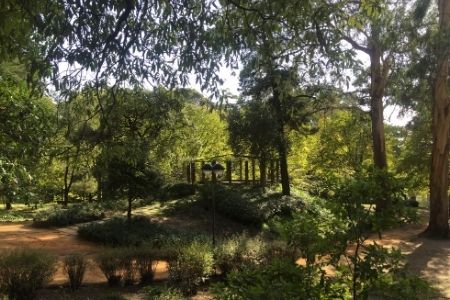 פארק סאו רוק - Parque de São Roque