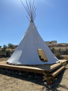 מאמא אדמה פורטוגל