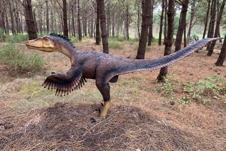 דינו פארק - Dino Parque