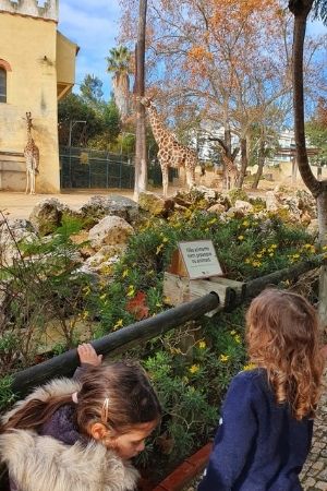 גן החיות של ליסבון - Lisbon's zoo