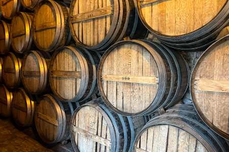 חביות יין wine barrels