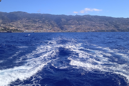 מדיירה מהמים Madeira from the water