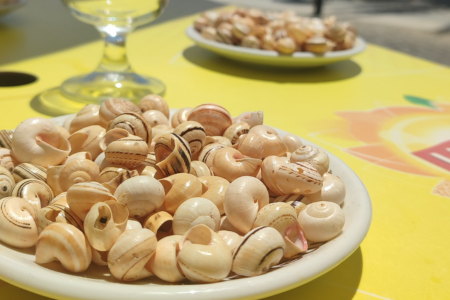 שבלולים snails