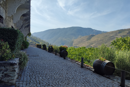 יקב בעמק הדורו Winery in the Douro Vally
