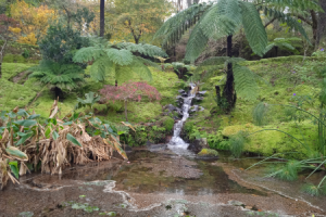 מרחצאות באיים האזורים Termal bath in Azores Islands