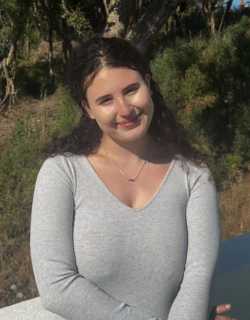 שקד שקד